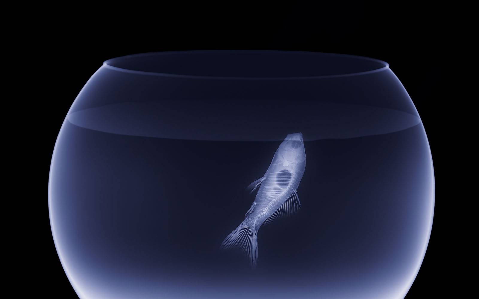 La transparencia como estrategia para las empresas