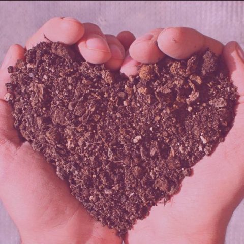 Esencia vs fragmentación