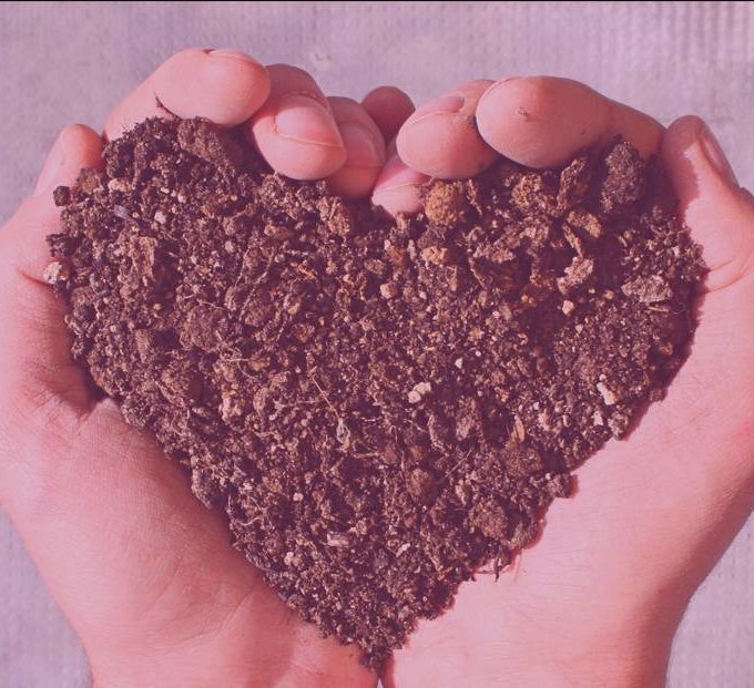 Esencia vs fragmentación