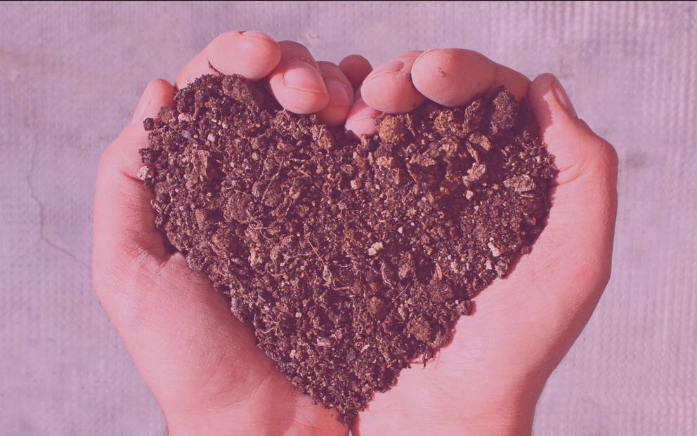 Esencia vs fragmentación