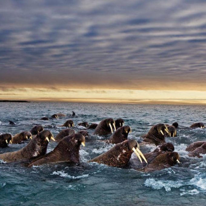 ¿Cómo hacer una migración web con éxito?