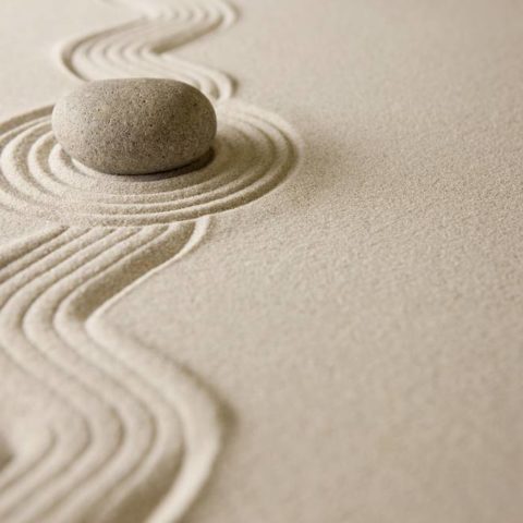 Principios fundamentales para el diseño de productos digitales